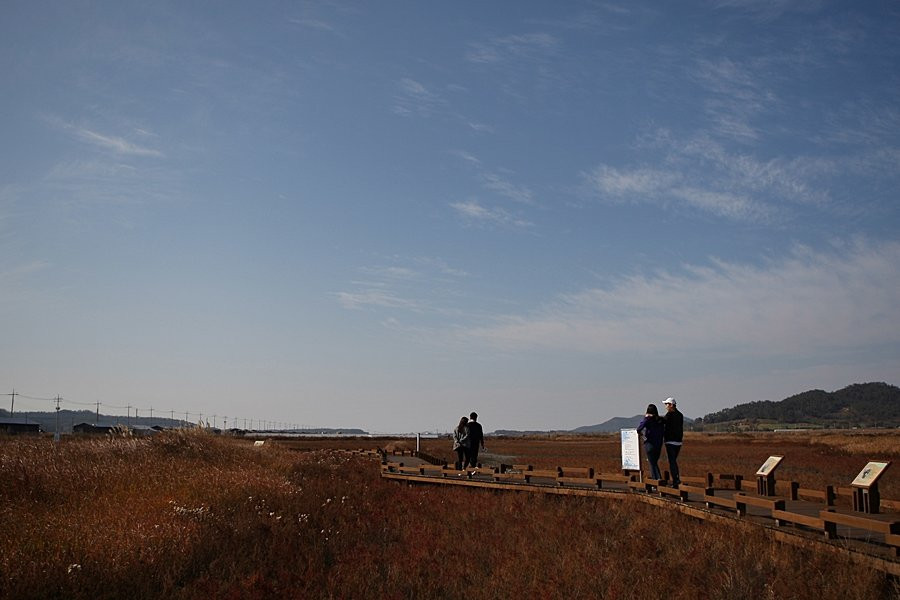 Taepyeong Yeomsaeng Botanical Garden-新安郡必去景点