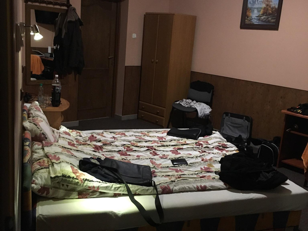 Trzemeszno旅游攻略图片