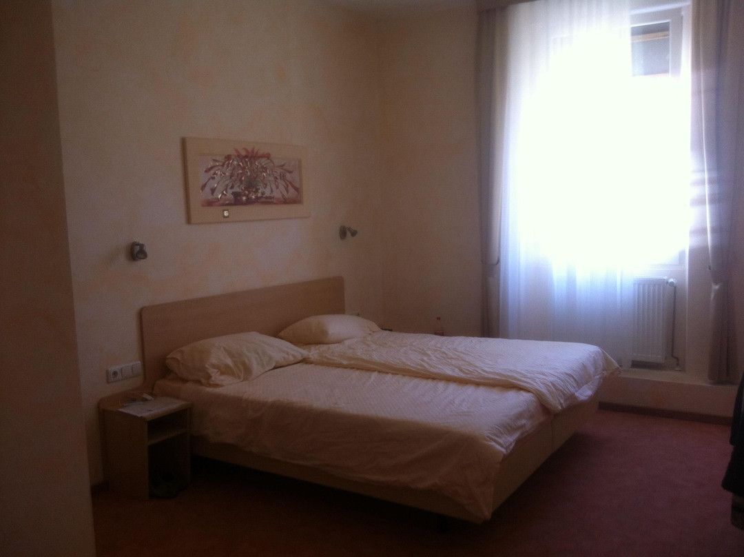 Neustadt an der Weinstrasse旅游攻略图片
