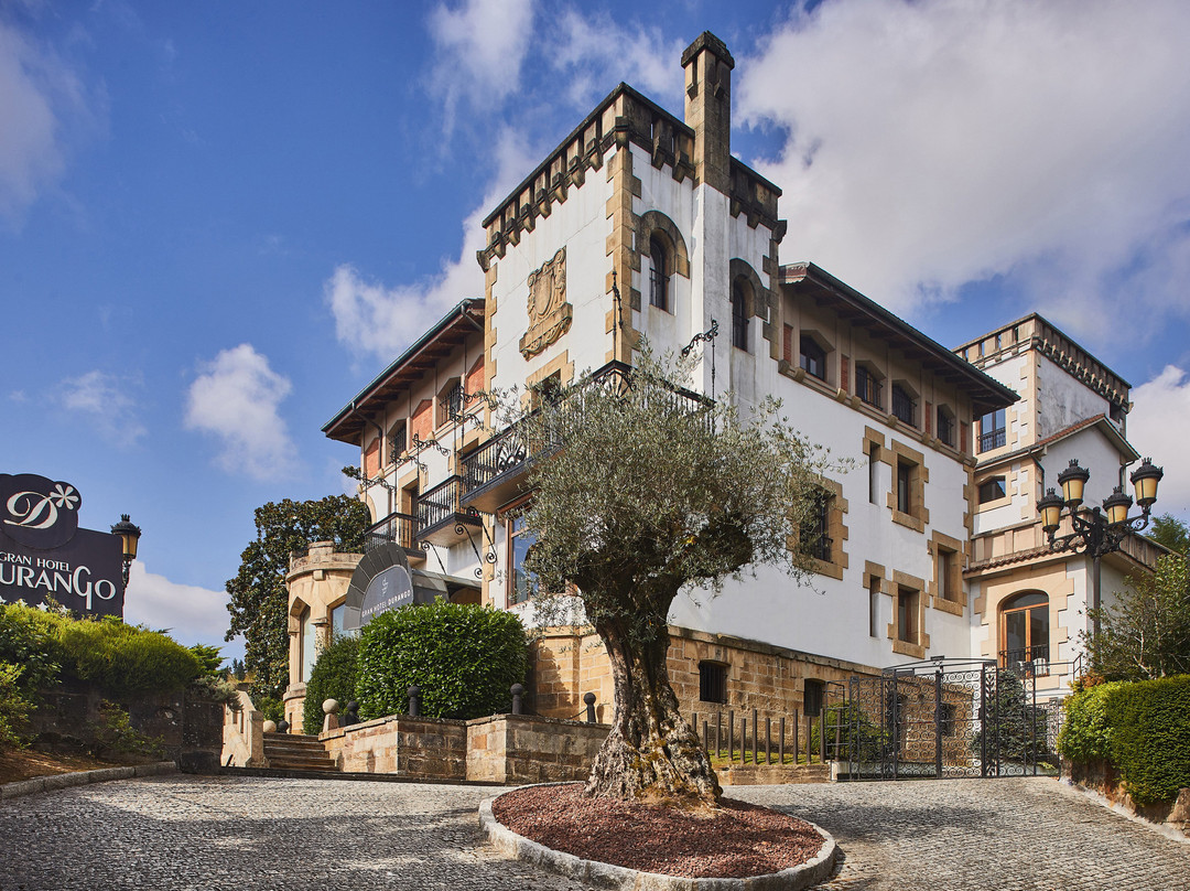 杜兰戈大酒店主图