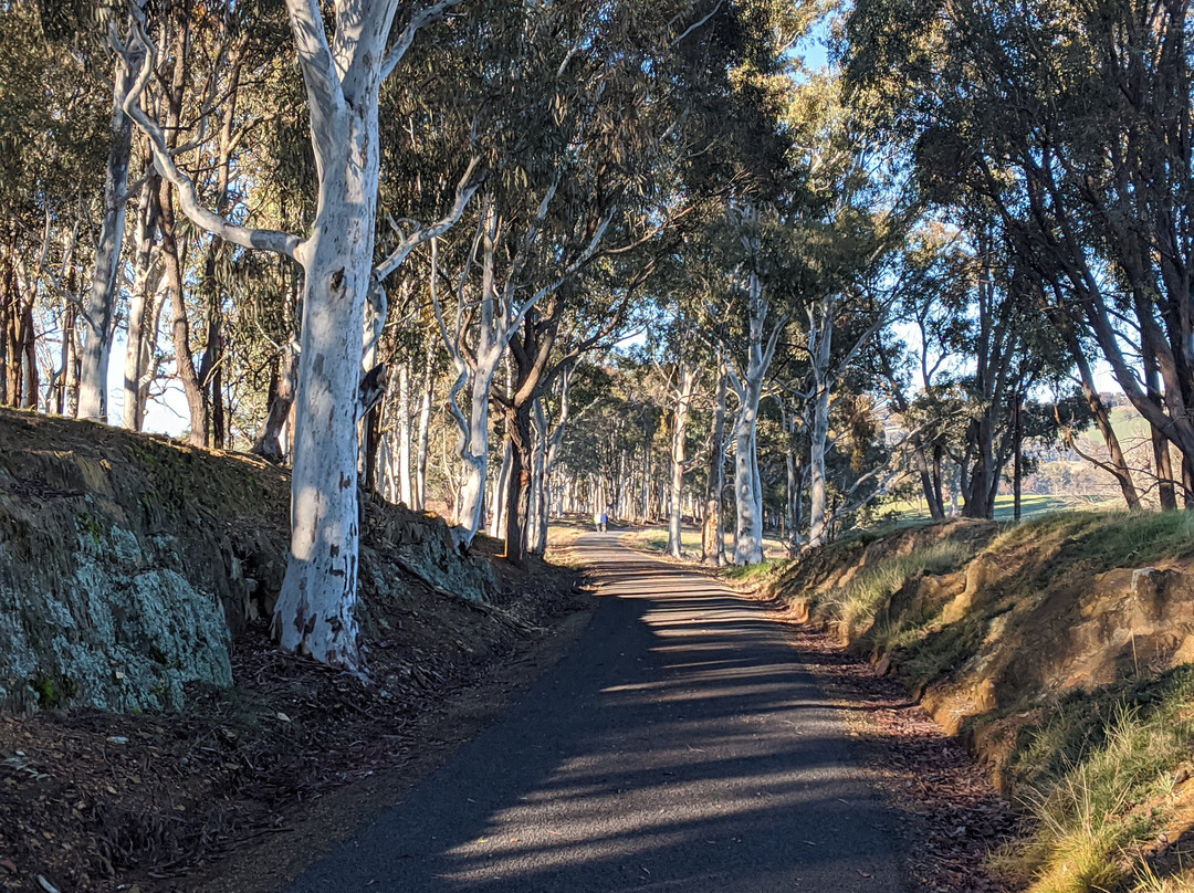 Tumbarumba - Rosewood Rail Trail景点图片