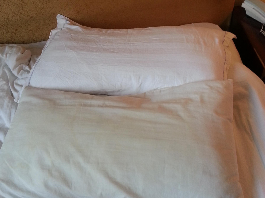 江苏生态园大酒店主图