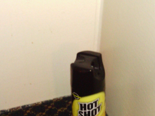 Knights Inn Columbia Airport/Cayce