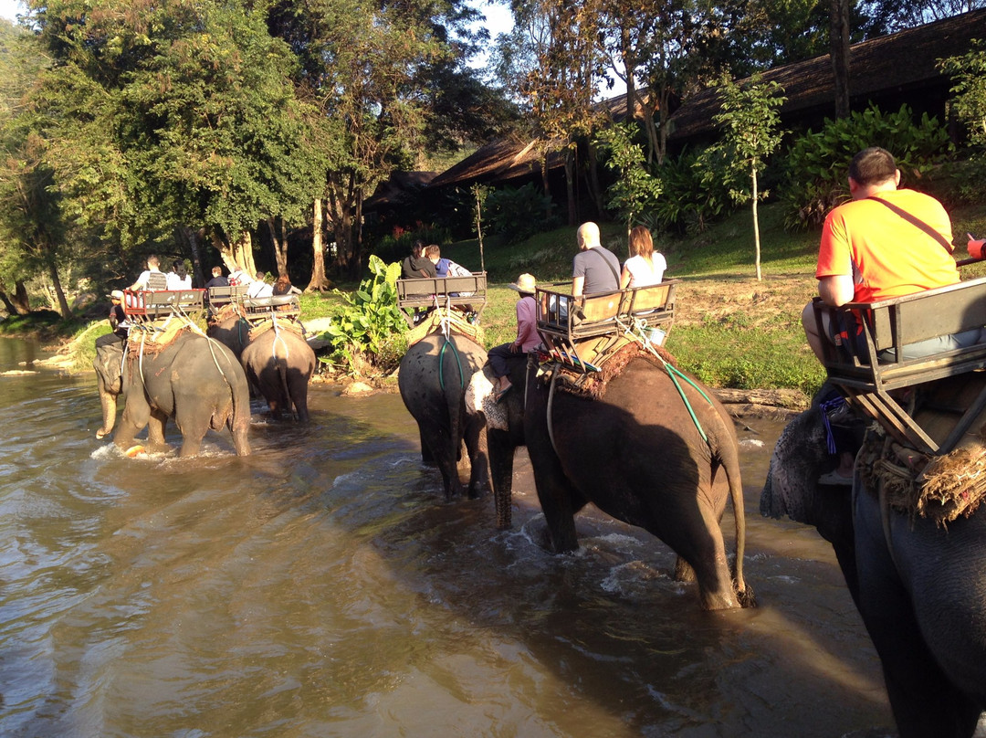 Maetaeng Elephant Park景点图片