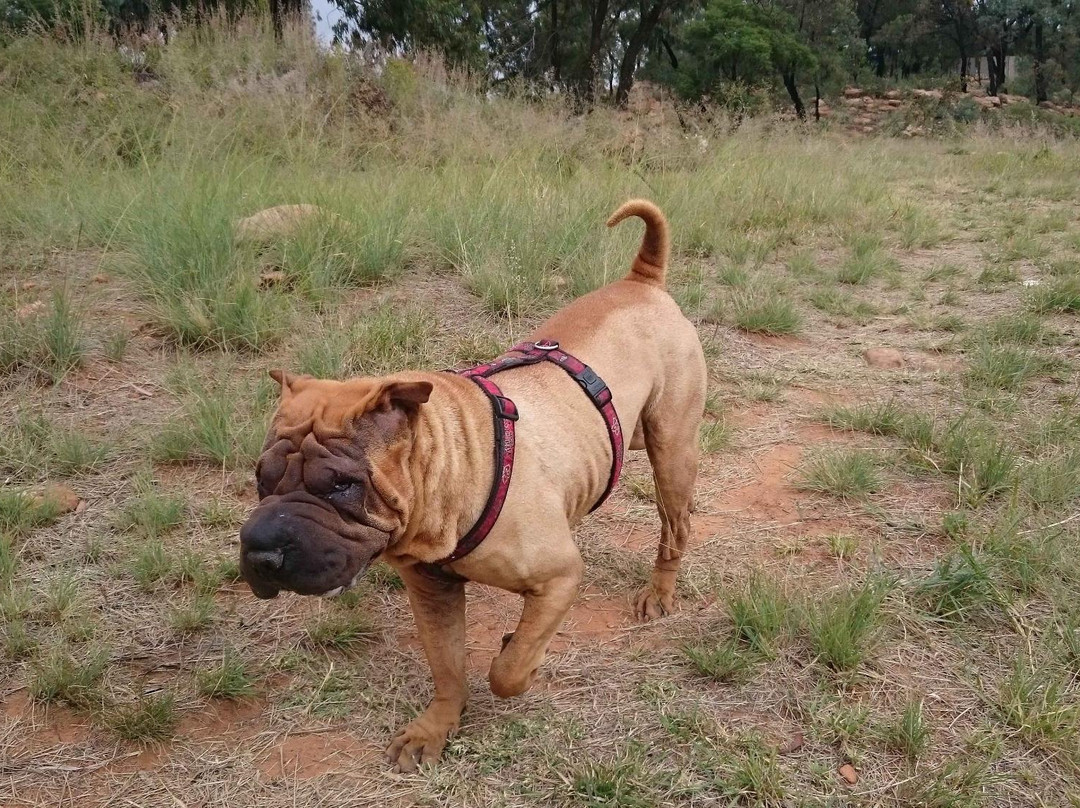 Hedianga Farm-比勒陀利亚必去景点