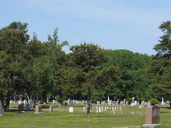 Forest City Cemetery景点图片