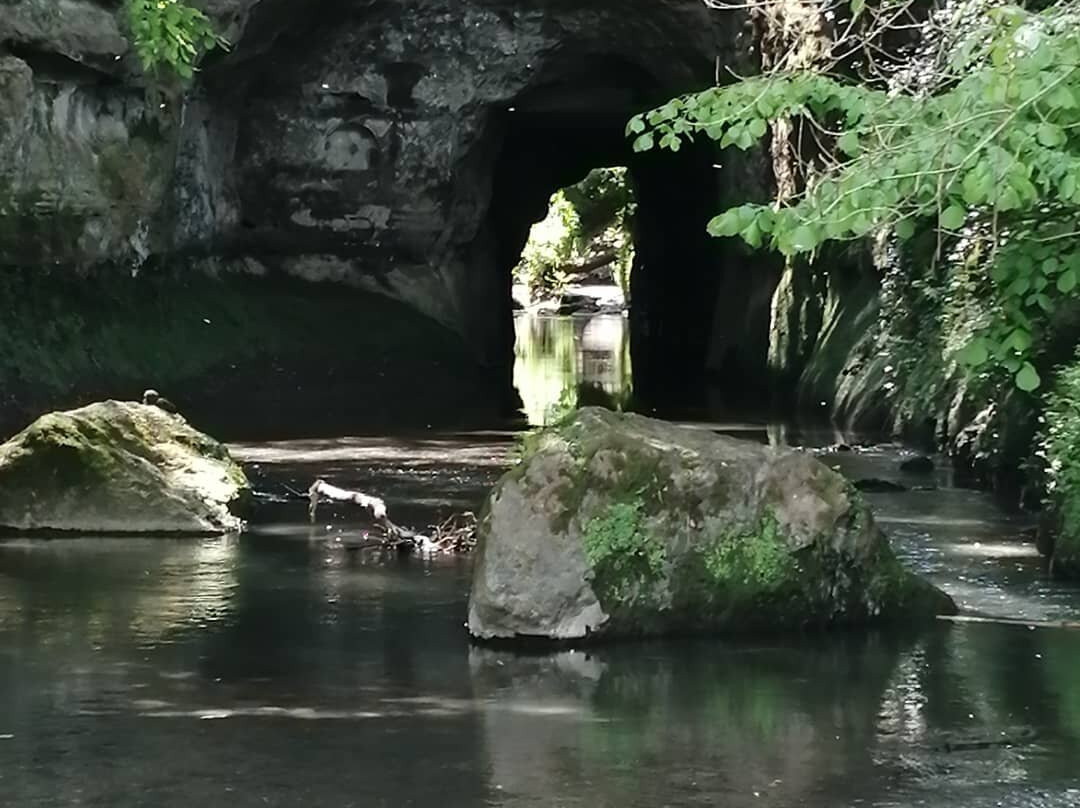 Parco di Veio景点图片