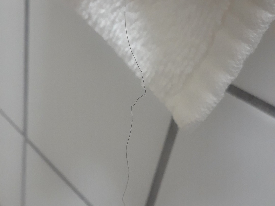 Quality Inn-Central主图