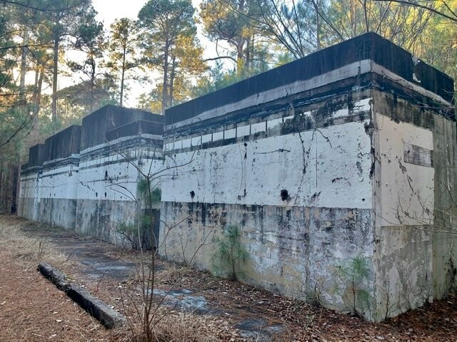 Caddo Lake National Wildlife Refuge-Karnack必去景点