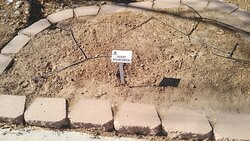 Robert J. Moody Demonstration Garden-尤马必去景点