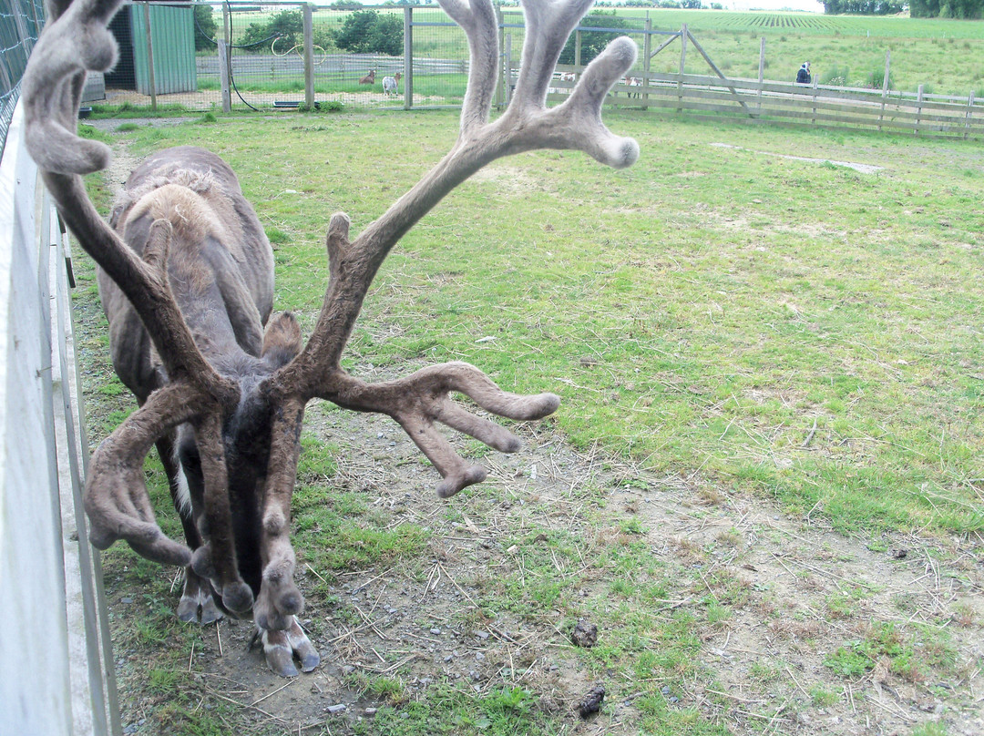 parc animalier de Saint Vougay景点图片