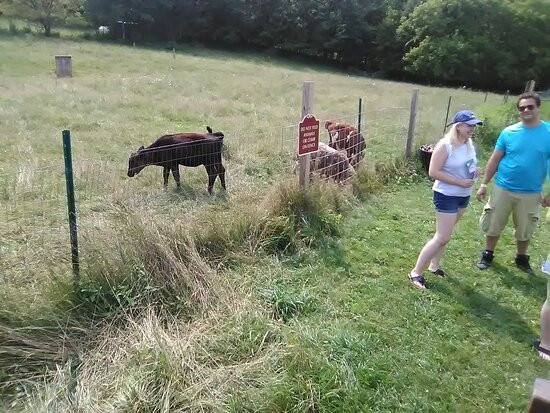 New Life Lavender Farm-巴拉布必去景点