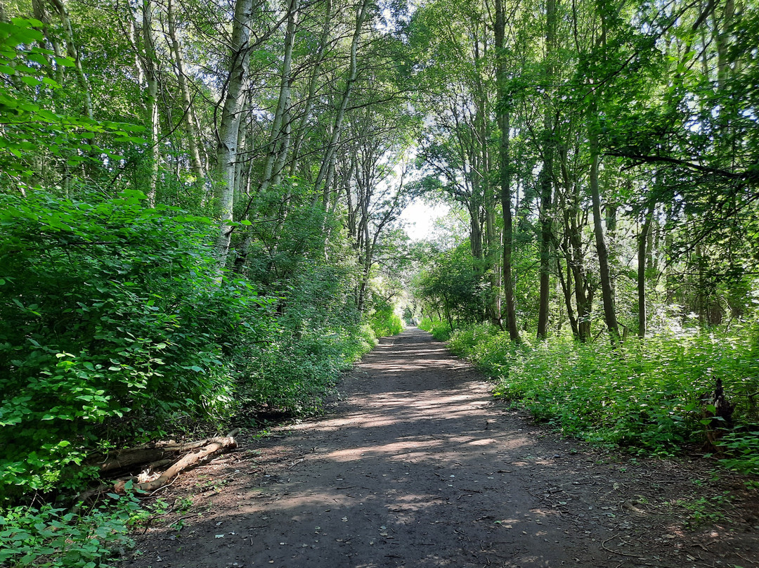 The Old Thrapston To Thorpe Rail Walk景点图片