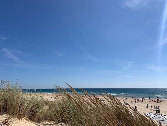 Epic Surf School-里斯本必去景点