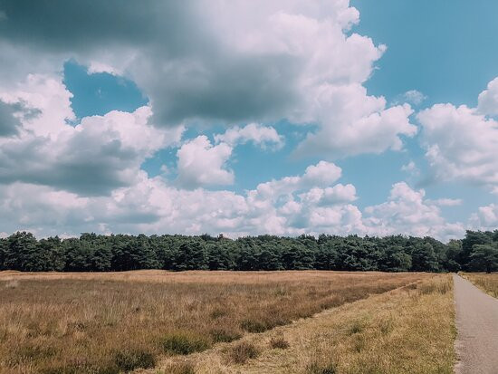 Veluwe Specialist Harderwijk-Harderwijk必去景点