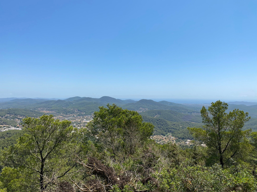 Mirador Sa Talaia景点图片