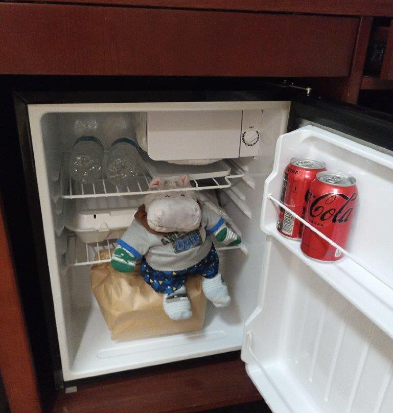 密尔沃基公园希尔顿花园酒店主图