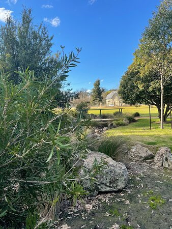 Kings Park Seymour景点图片