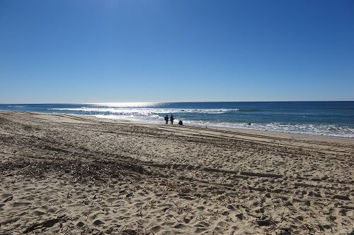 Stuart Beach-斯图尔特必去景点