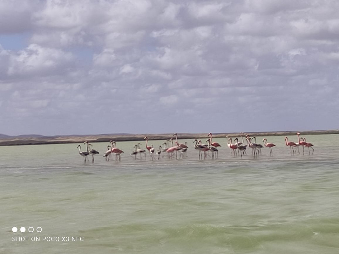 Cabo de la Vela Beach-Cabo de La Vela必去景点