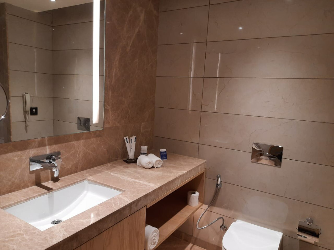 The Gaurs Sarovar Premiere主图