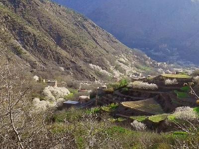 Toubkal Travel Trekking景点图片