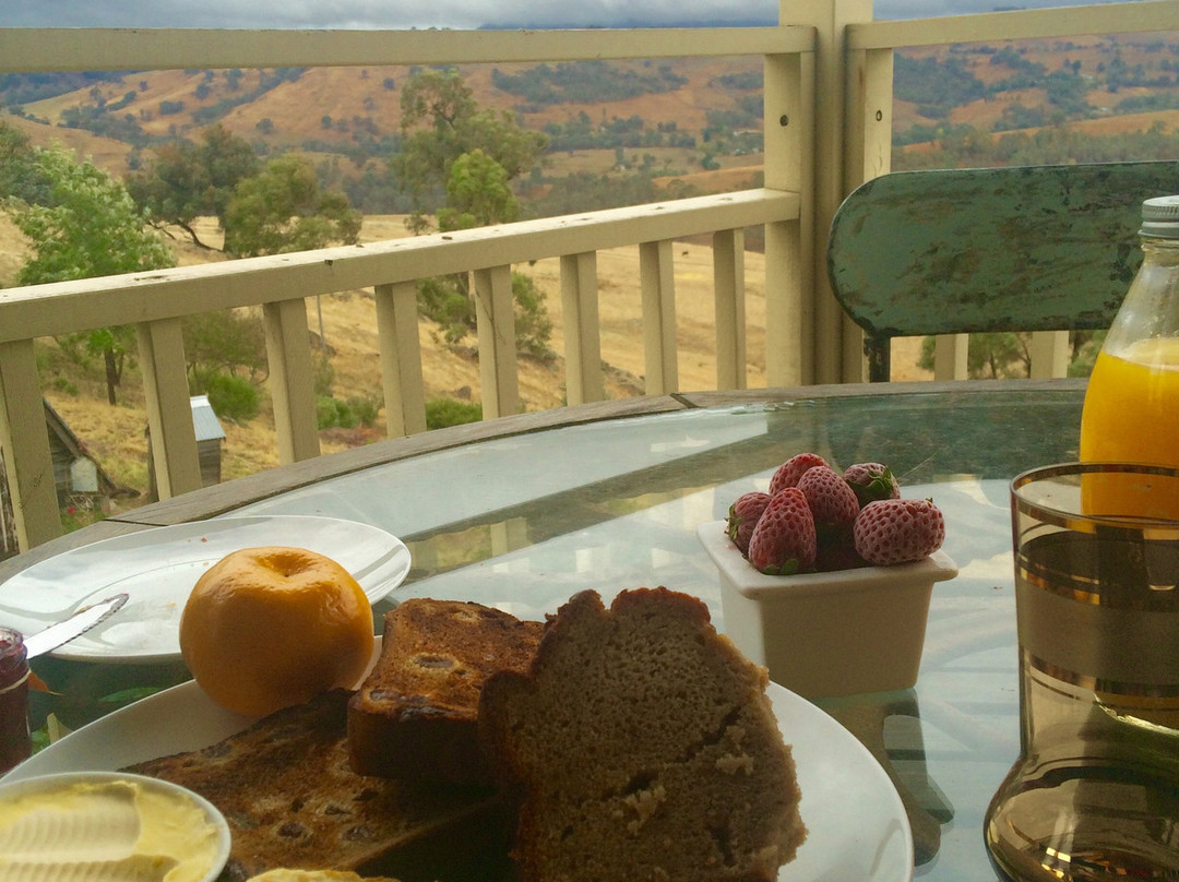 Inspiring Views Artisan Homestead主图