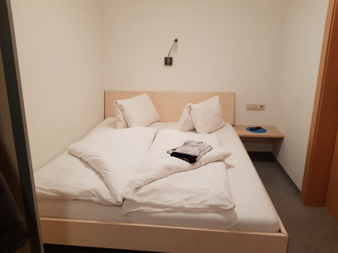 Zwieselstein酒店住宿-Pension Pitze