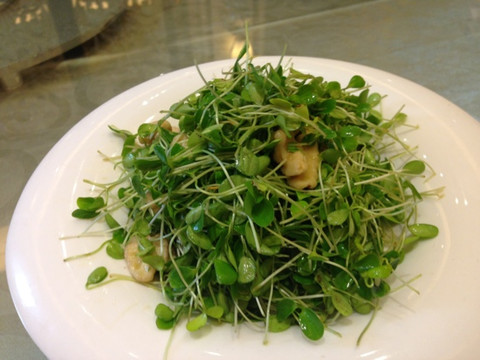 大兴善寺宝严素食坊主图