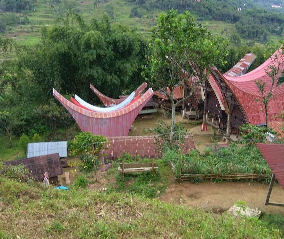 Tana Toraja Tours景点图片