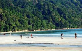 Andaman Ocean Tourism景点图片