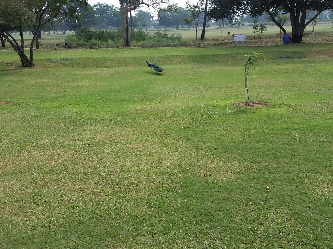 The Coimbatore Golf Club景点图片