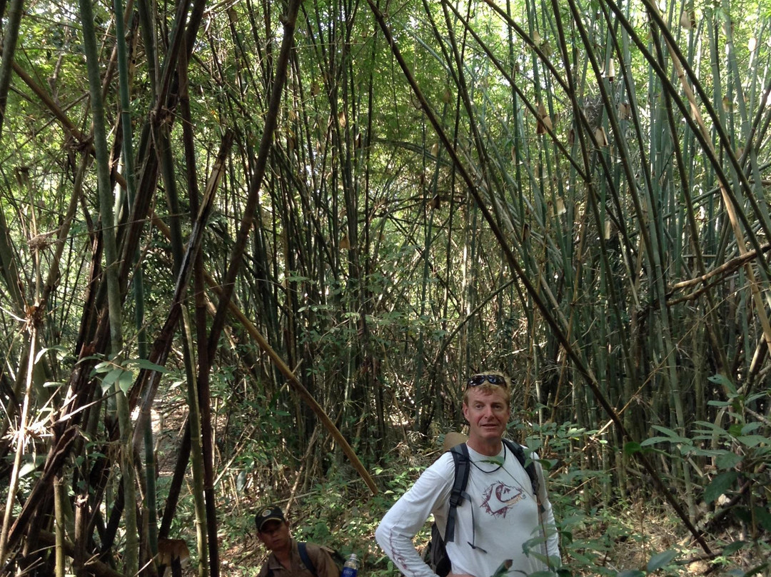 Mondulkiri Adventure Tour景点图片