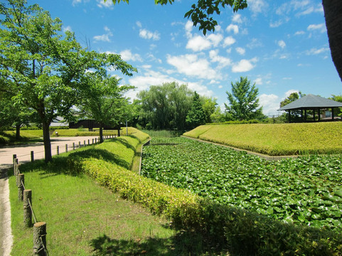 富士见市旅游攻略图片