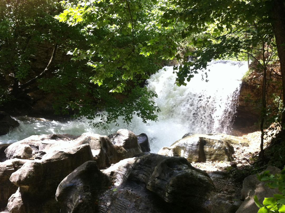 Tanyard Creek Nature Trail景点图片