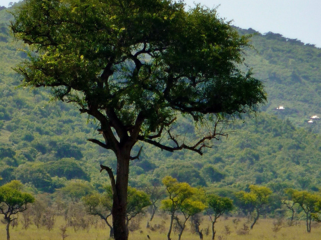 Homa Bay旅游攻略图片