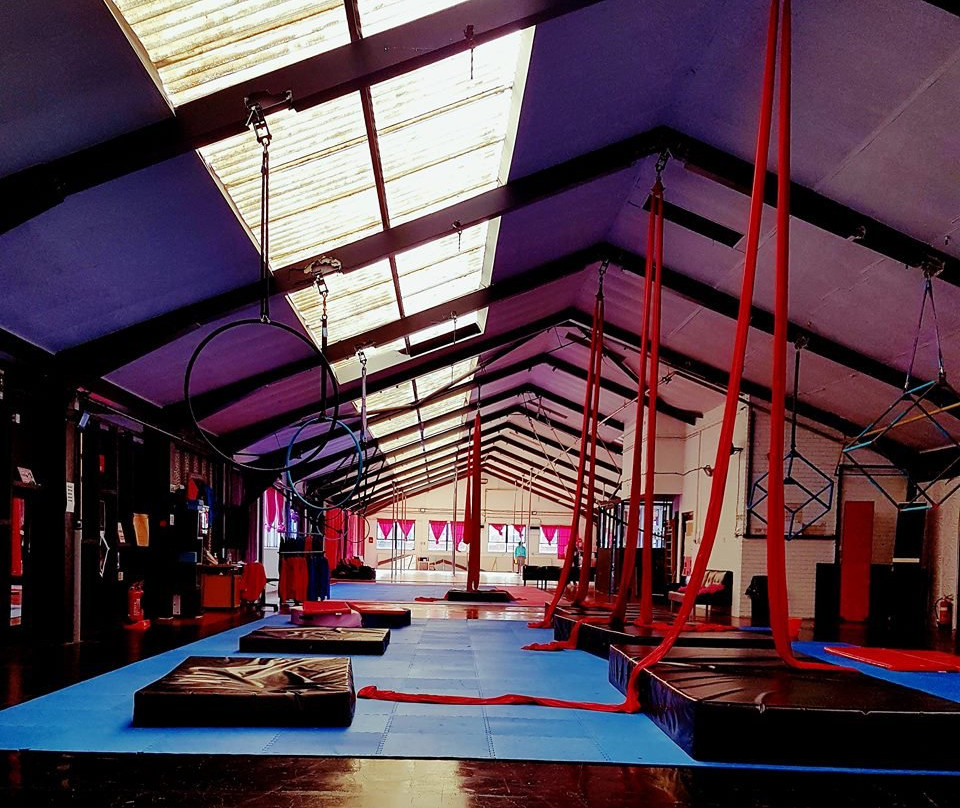 Pole & Aerial Fit Circus Academy景点图片