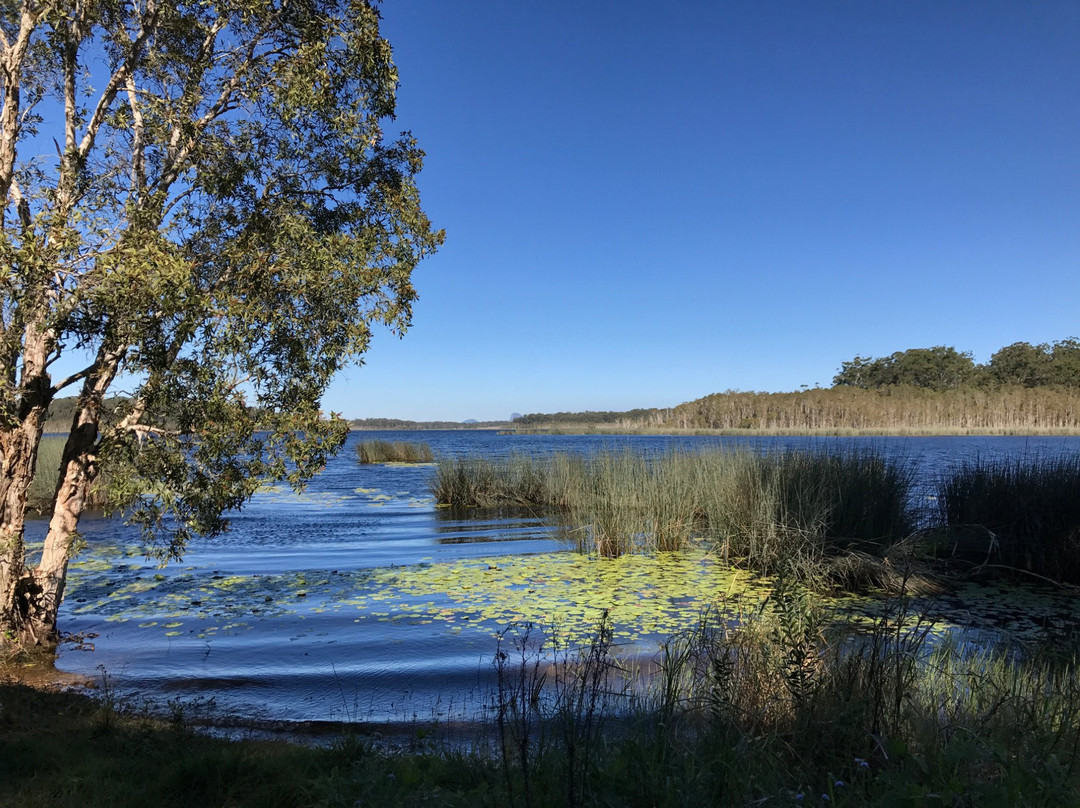 Mooloolah Valley旅游攻略图片