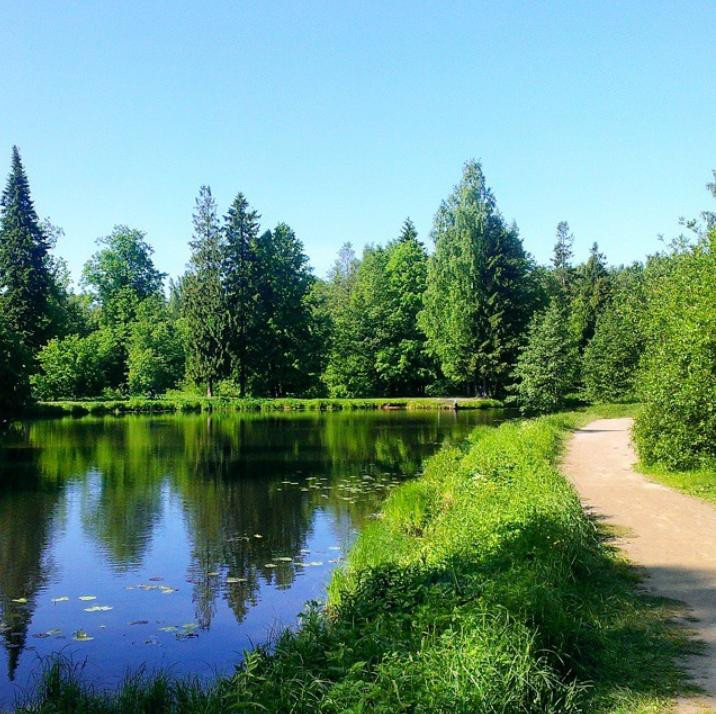 Pargolovo旅游攻略图片