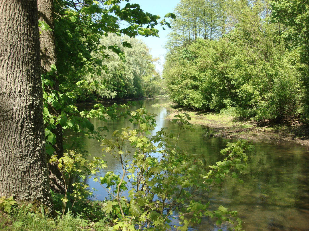 Krasniy Bereg旅游攻略图片