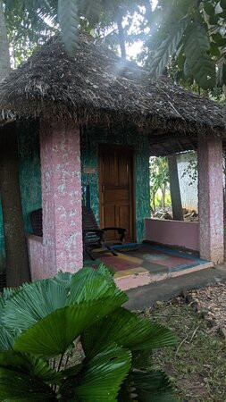 Paddy Homestay主图