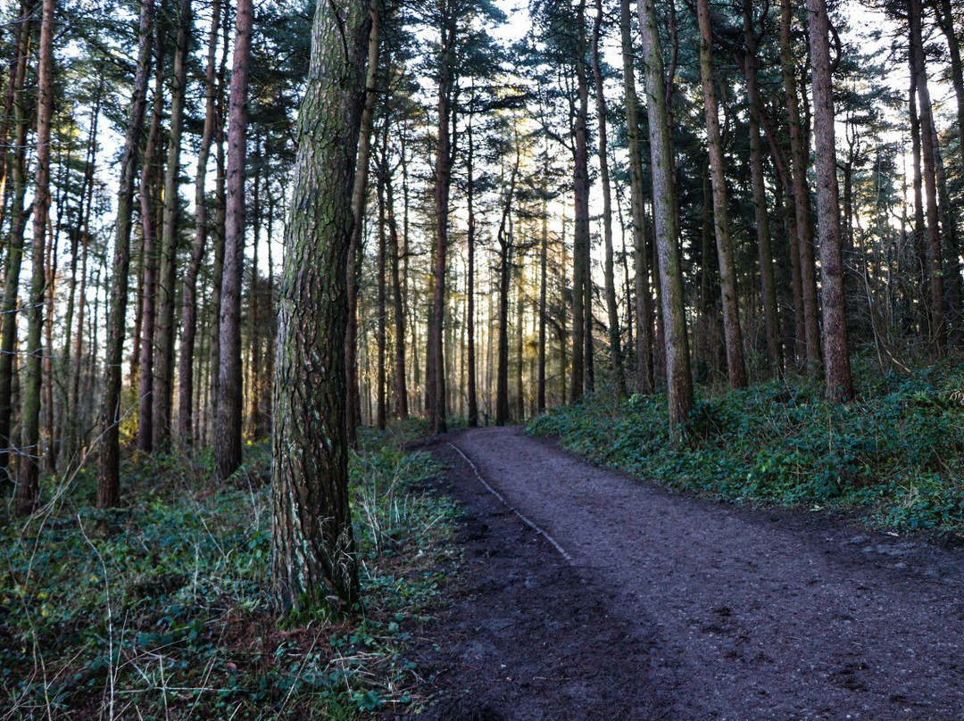 Linacre Reservoirs-切斯特菲尔德必去景点