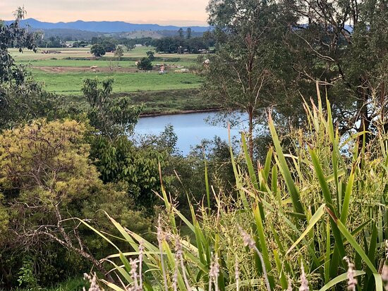 Mansfield on the Manning主图