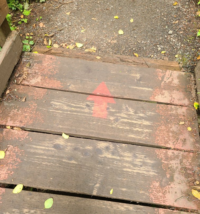 Mclane Creek Nature Trail景点图片