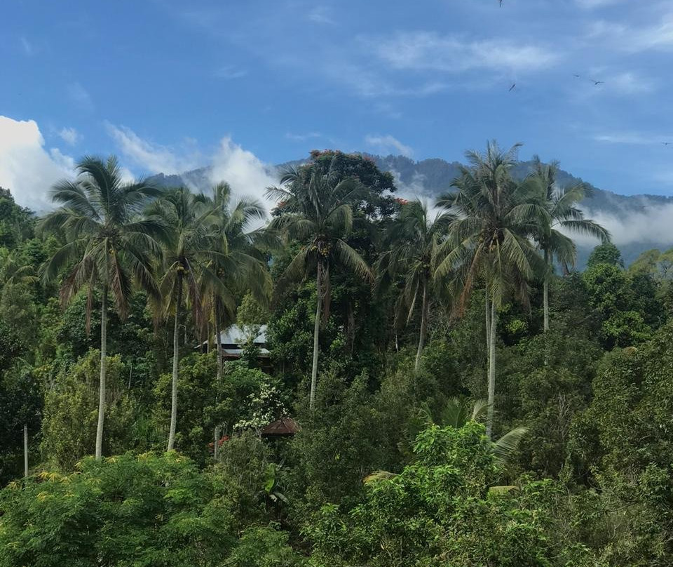 Sugi Gede Homestay主图