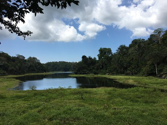Parque Nacional Soberania景点图片