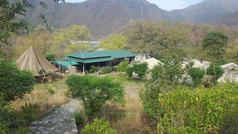 Banyan by the Ganges主图