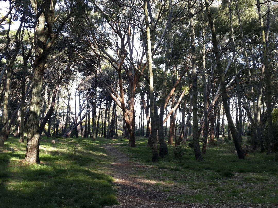 Parque Municipal Vivero Cosme Argerich景点图片