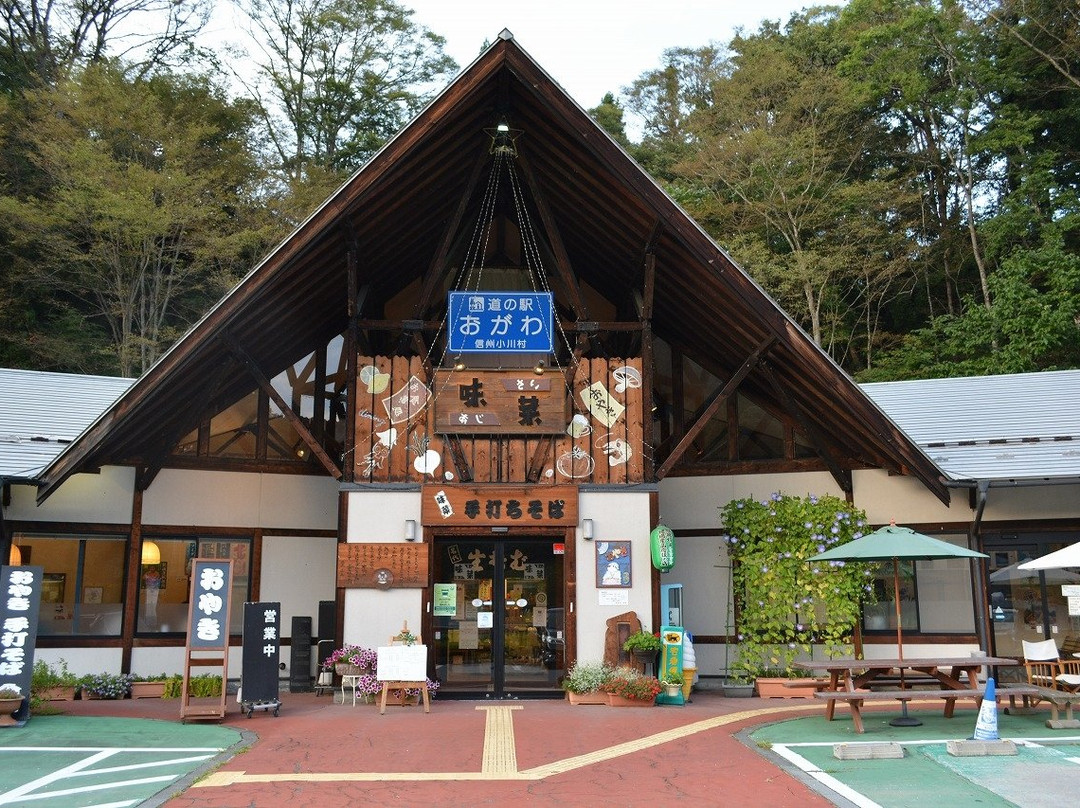 Michi-no-Eki Ogawa-小川村必去景点