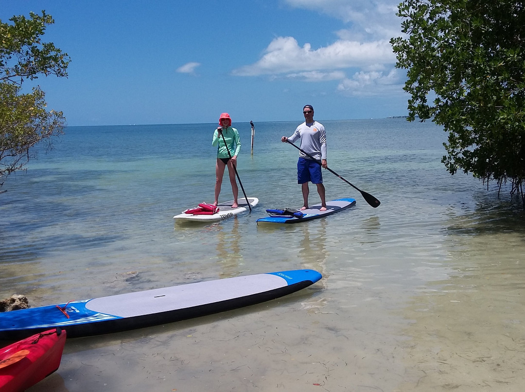 Beach Bum Paddle Sports景点图片